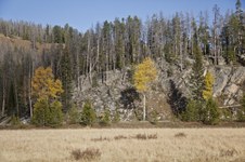 Enlarge photo 25