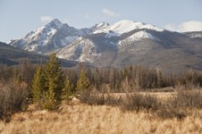 Enlarge photo 30