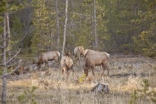 Enlarge photo 26