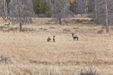 Enlarge photo 47