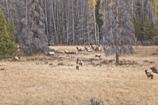 Enlarge photo 48