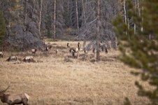 Enlarge photo 51