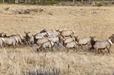 Enlarge photo 53
