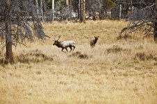 Enlarge photo 83