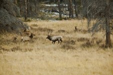 Enlarge photo 84