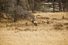 Enlarge photo 86