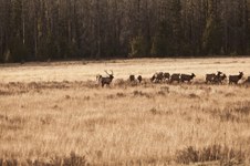 Enlarge photo 90