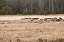 Enlarge photo 91