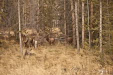 Enlarge photo 92