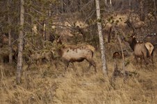 Enlarge photo 126