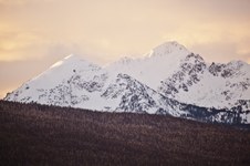 Enlarge photo 127