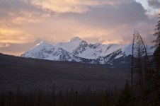 Enlarge photo 129