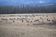 Enlarge photo 135
