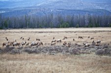 Enlarge photo 137
