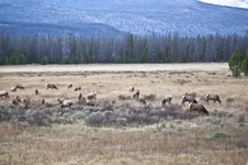 Enlarge photo 138