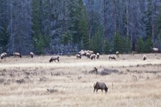 Enlarge photo 146