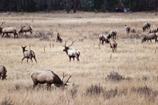 Enlarge photo 161