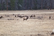Enlarge photo 163