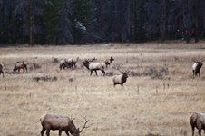 Enlarge photo 172
