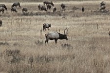 Enlarge photo 174