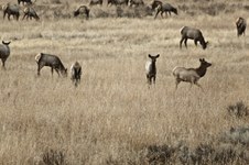 Enlarge photo 176