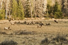 Enlarge photo 55