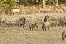 Enlarge photo 56