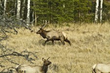 Enlarge photo 58