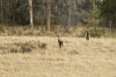 Enlarge photo 61
