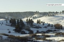 Enlarge photo 42
