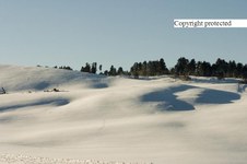 Enlarge photo 43