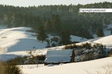 Enlarge photo 44