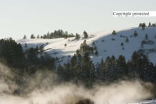 Enlarge photo 45