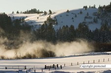 Enlarge photo 46