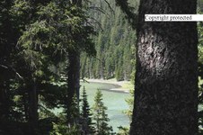 Scenic - taken in lots of places
