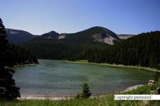 Enlarge photo 11