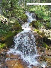 Enlarge photo 45