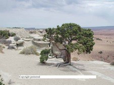 Enlarge photo 31