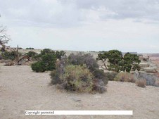 Enlarge photo 35