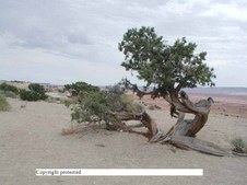 Enlarge photo 36