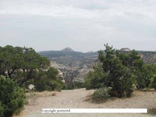 Enlarge photo 37
