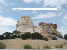Enlarge photo 40