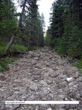 Enlarge photo 43
