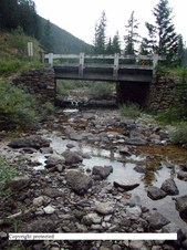 Enlarge photo 44