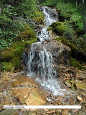 Enlarge photo 46
