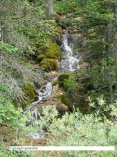 Enlarge photo 47