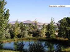 Enlarge photo 49
