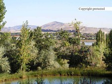 Enlarge photo 50
