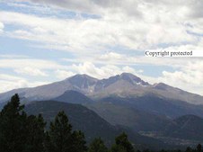 Enlarge photo 51