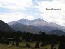 Enlarge photo 52